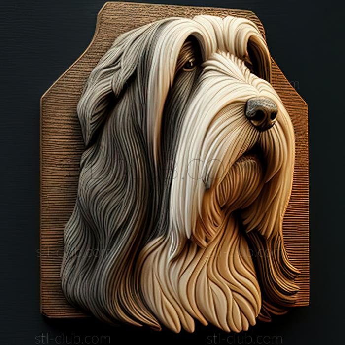 3D model st Bearded Collie dog (STL)